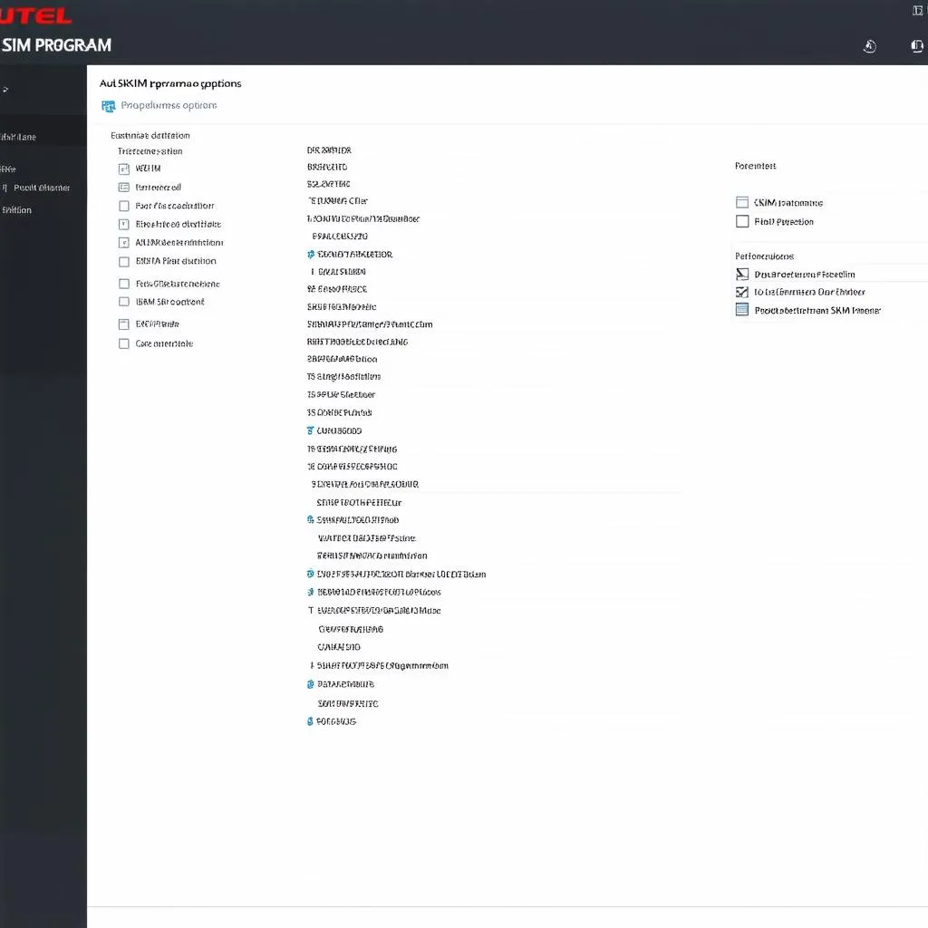 Autel SKIM Program Interface