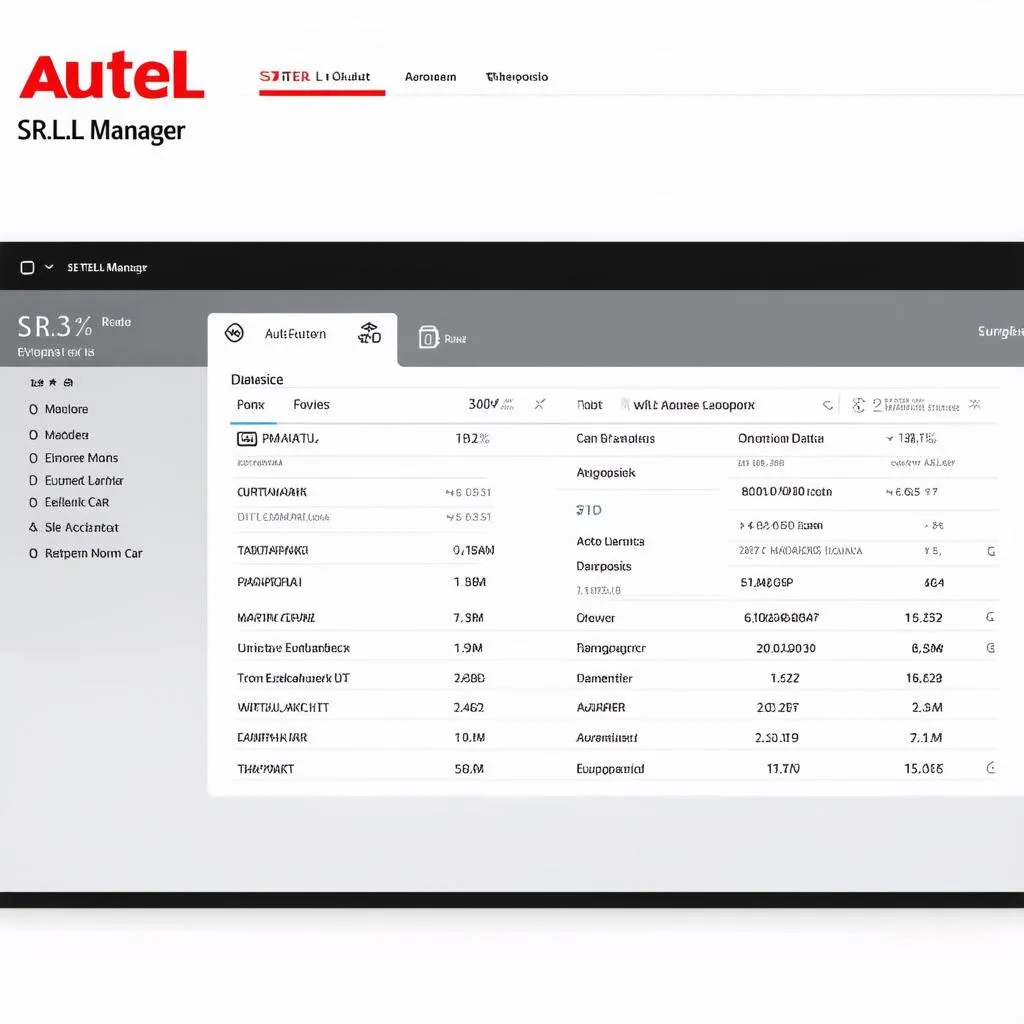 Autel S.R.L. Manager software interface