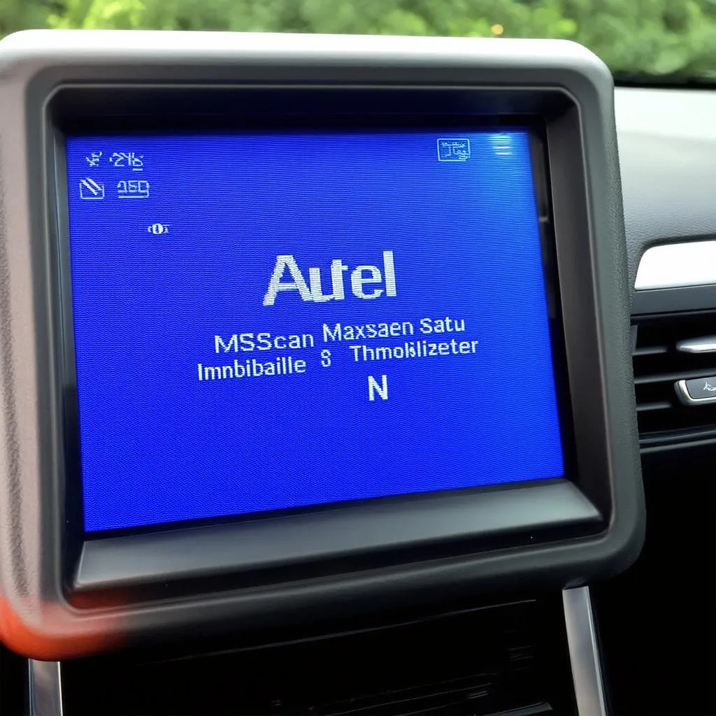 Autel MaxiScan MS300 Immobilizer Status