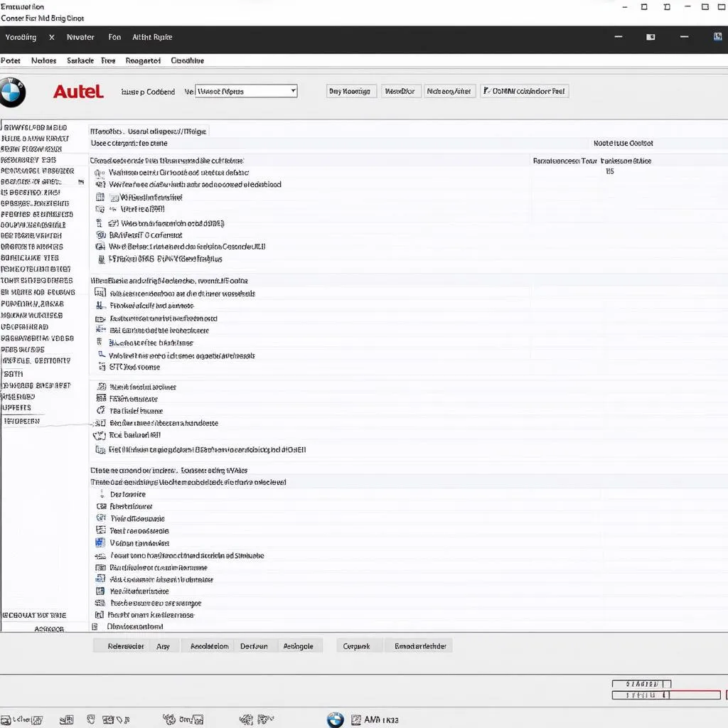 BMW Coding Interface