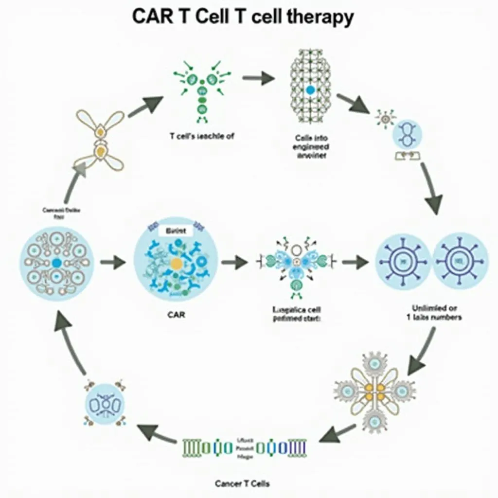 CAR T cell therapy process