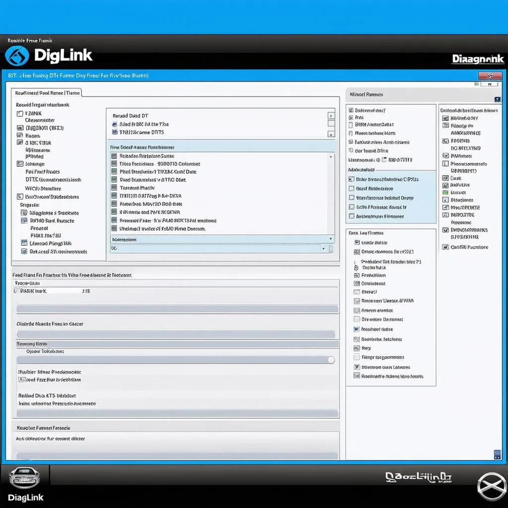 Diaglink Software Interface