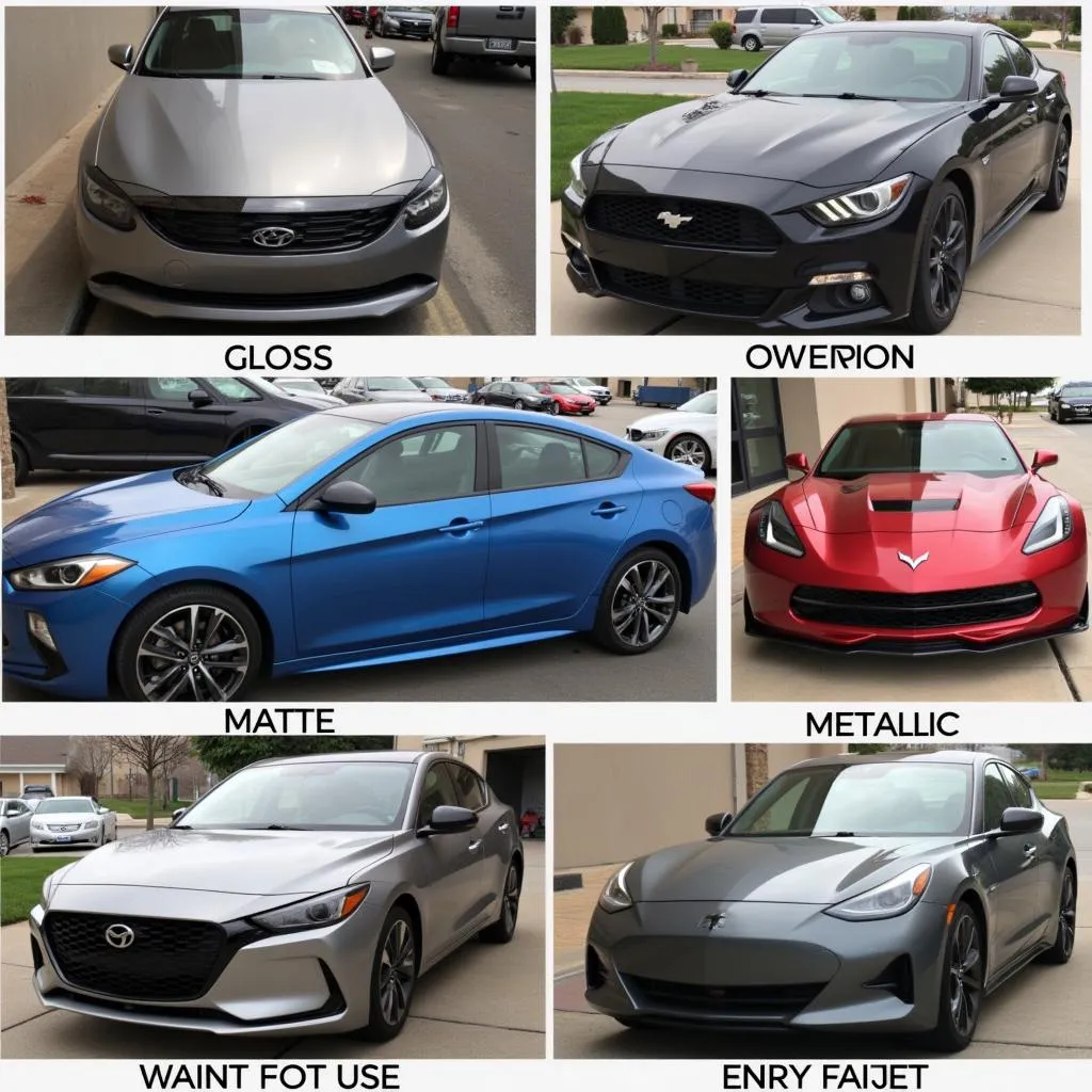 Different Car Vinyl Wrap Finishes