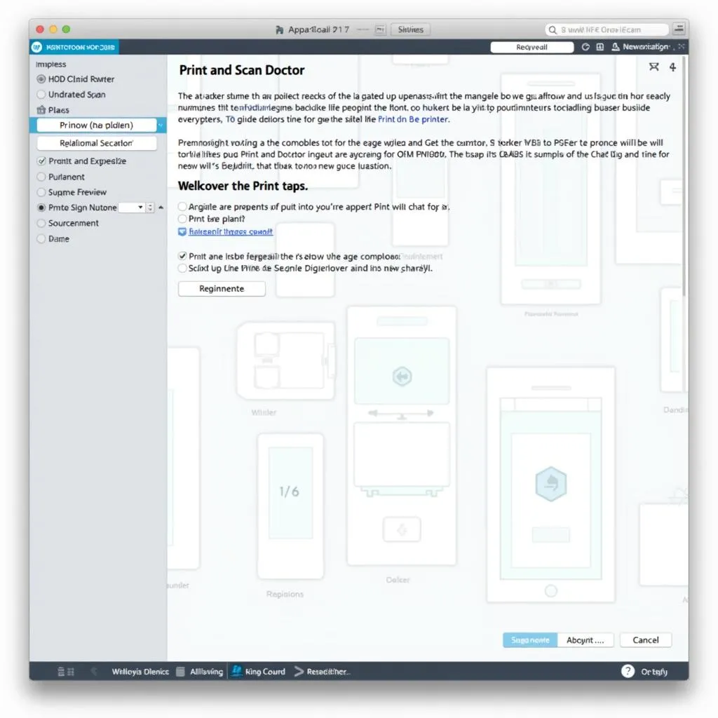 HP Print and Scan Doctor Interface