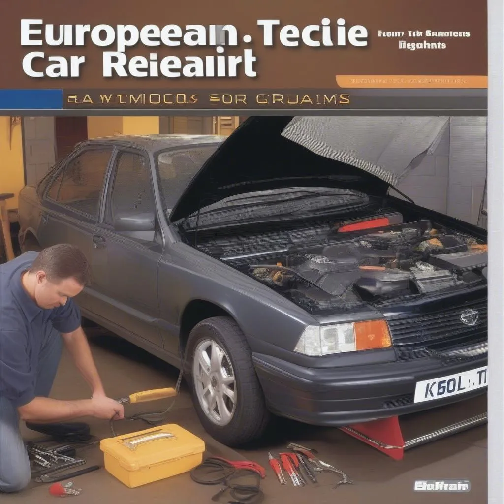 A guide to European car repair