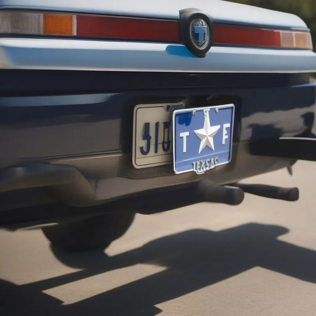 Texas License Plates on a Car Bumper