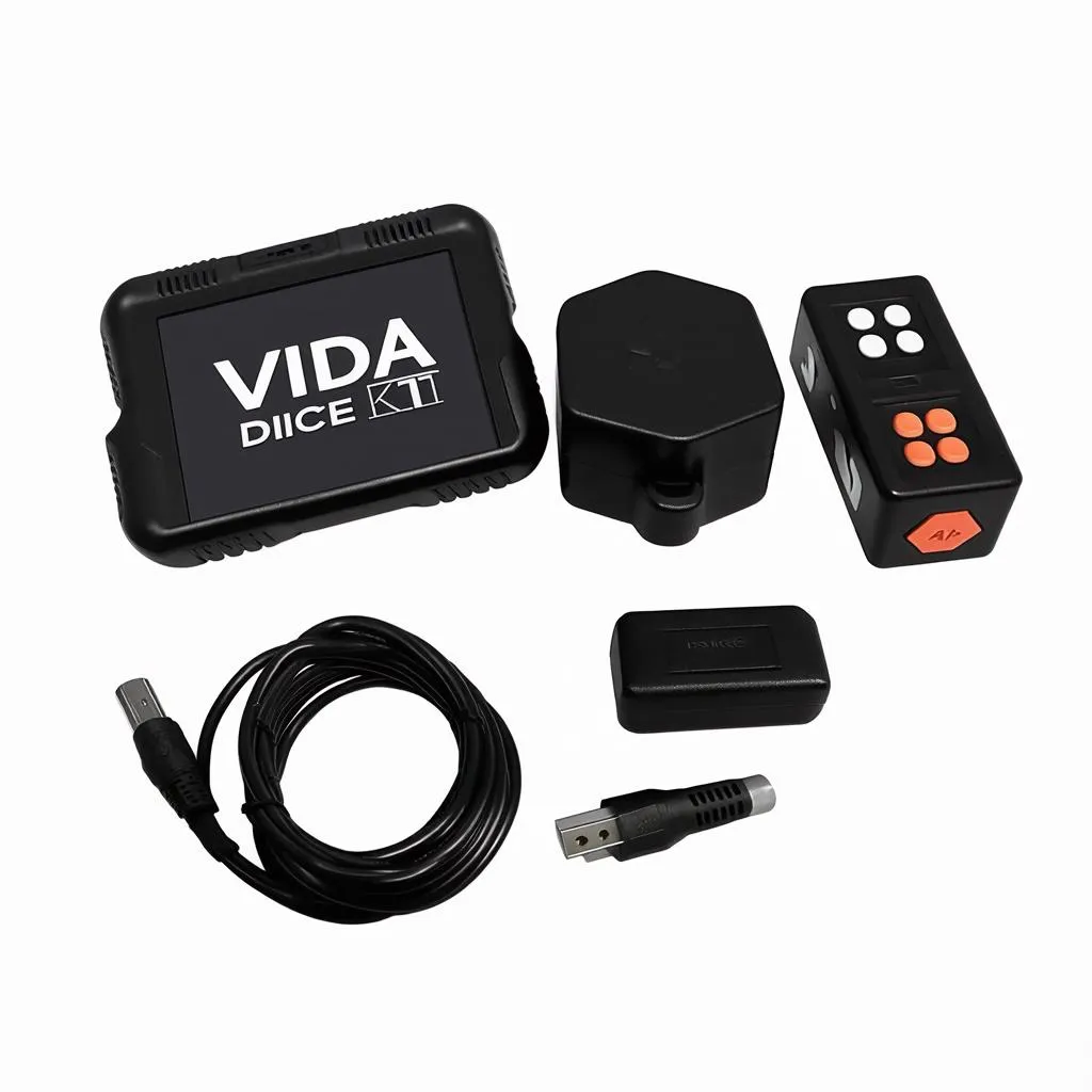 VIDA DICE kit