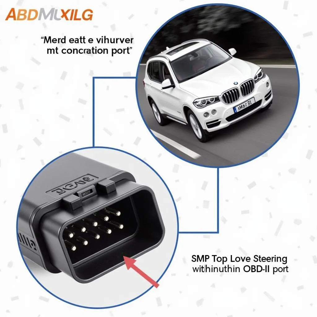 BMW SAS Calibration Process