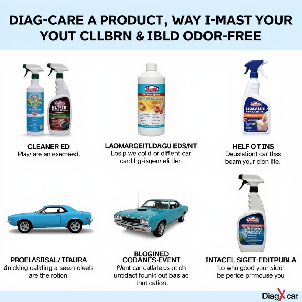 Car care products and services