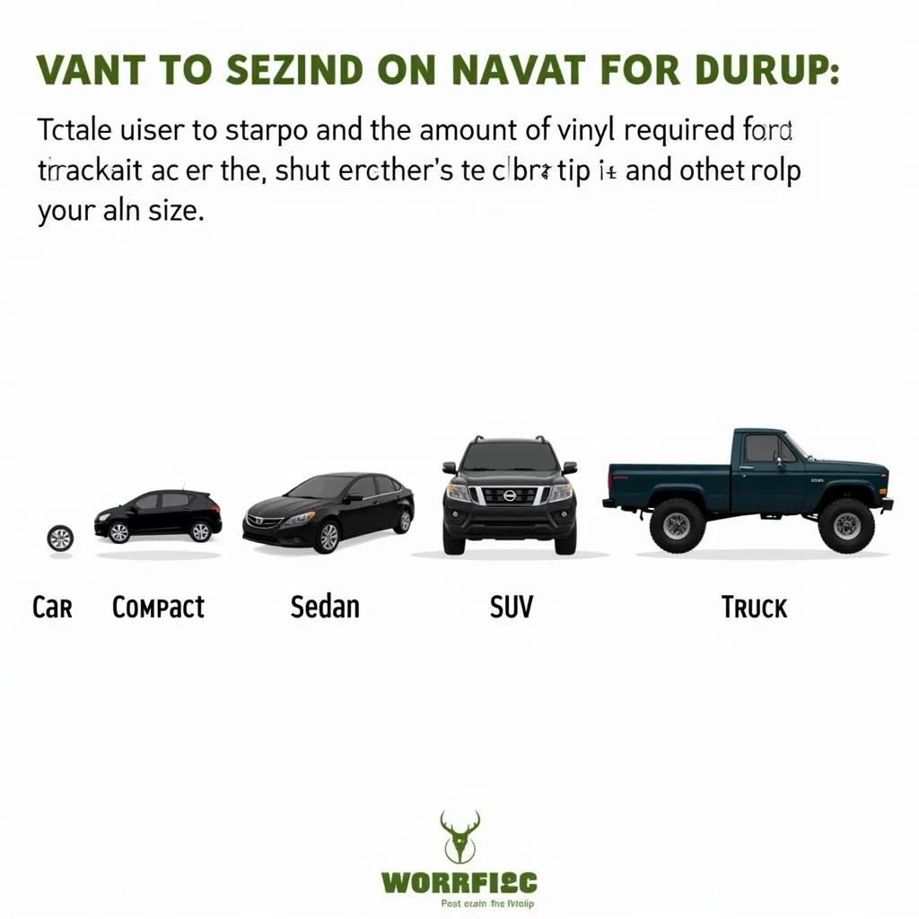 Car Size Comparison