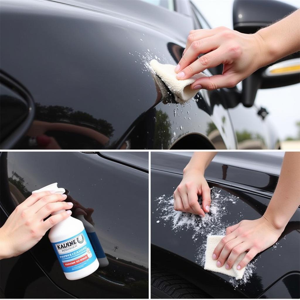 Applying Car Wax and Sealant