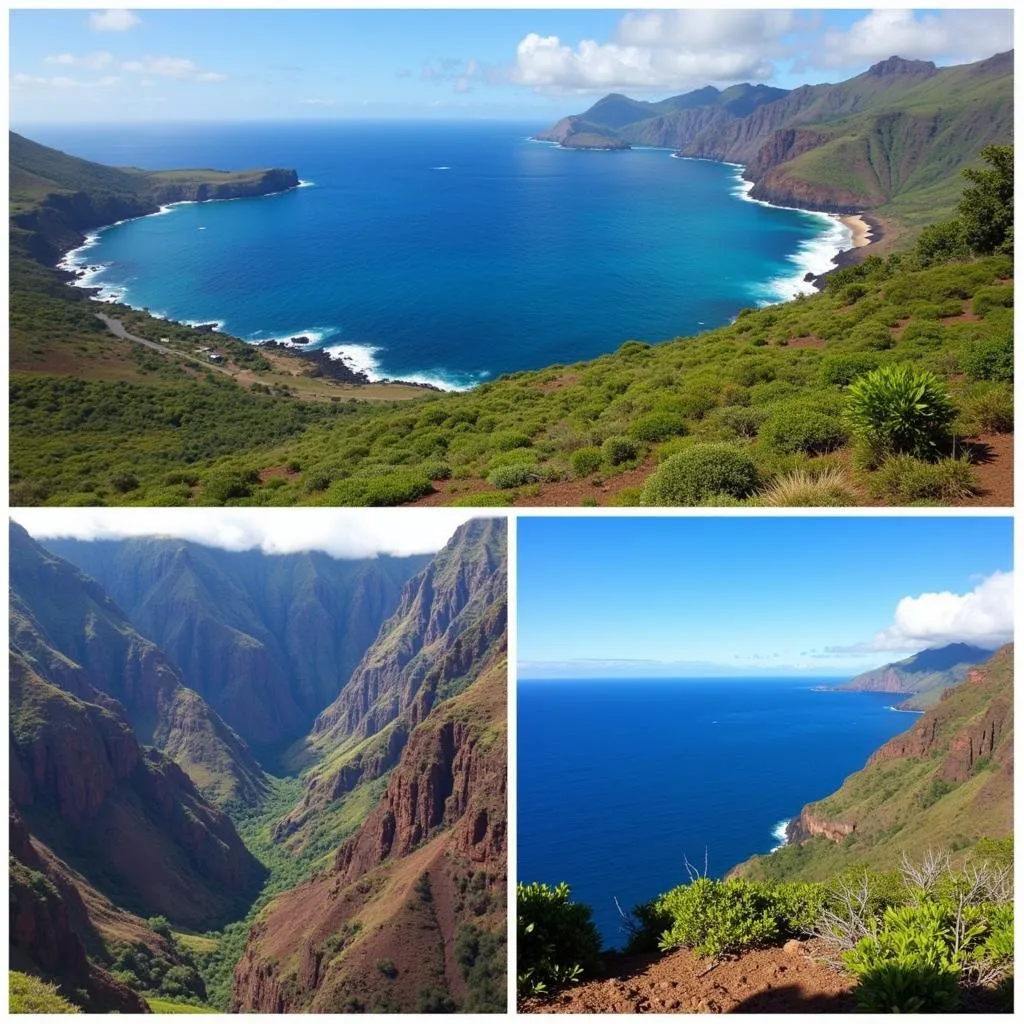 Scenic Drives in Kauai: Kuhio Highway, Waimea Canyon, Kalalau Lookout