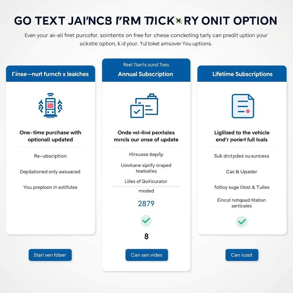 Launch Scan Tool Update Options