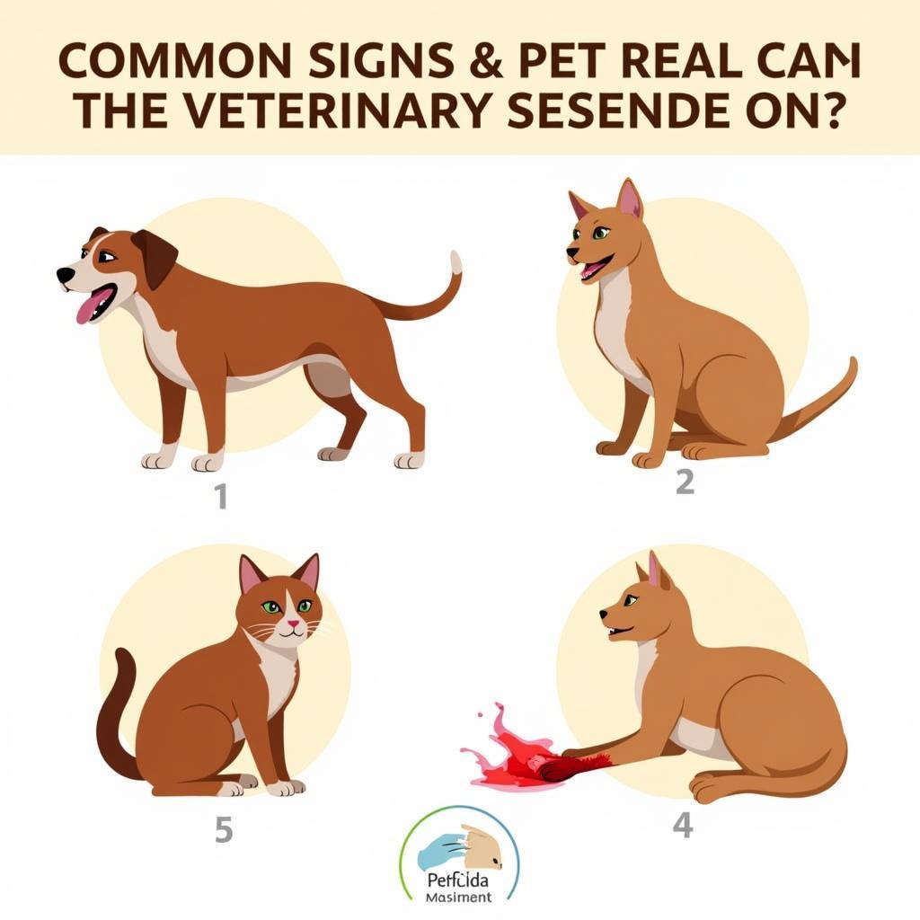 Signs a pet needs urgent care