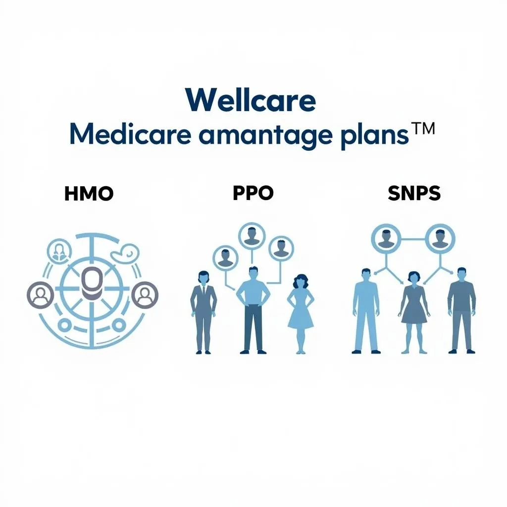 Wellcare Medicare Advantage Plans