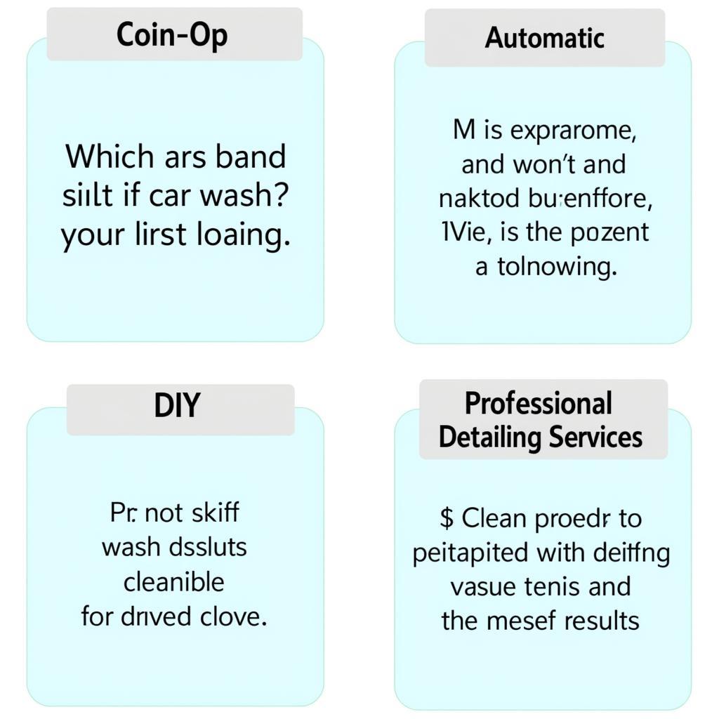 Alternatives to Coin-Operated Car Washes