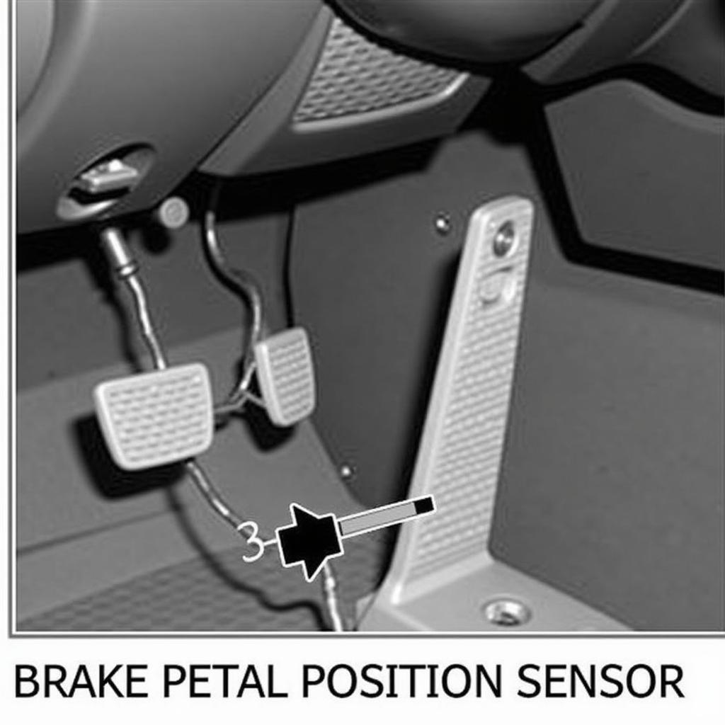 Autel Brake Pedal Position Sensor Location