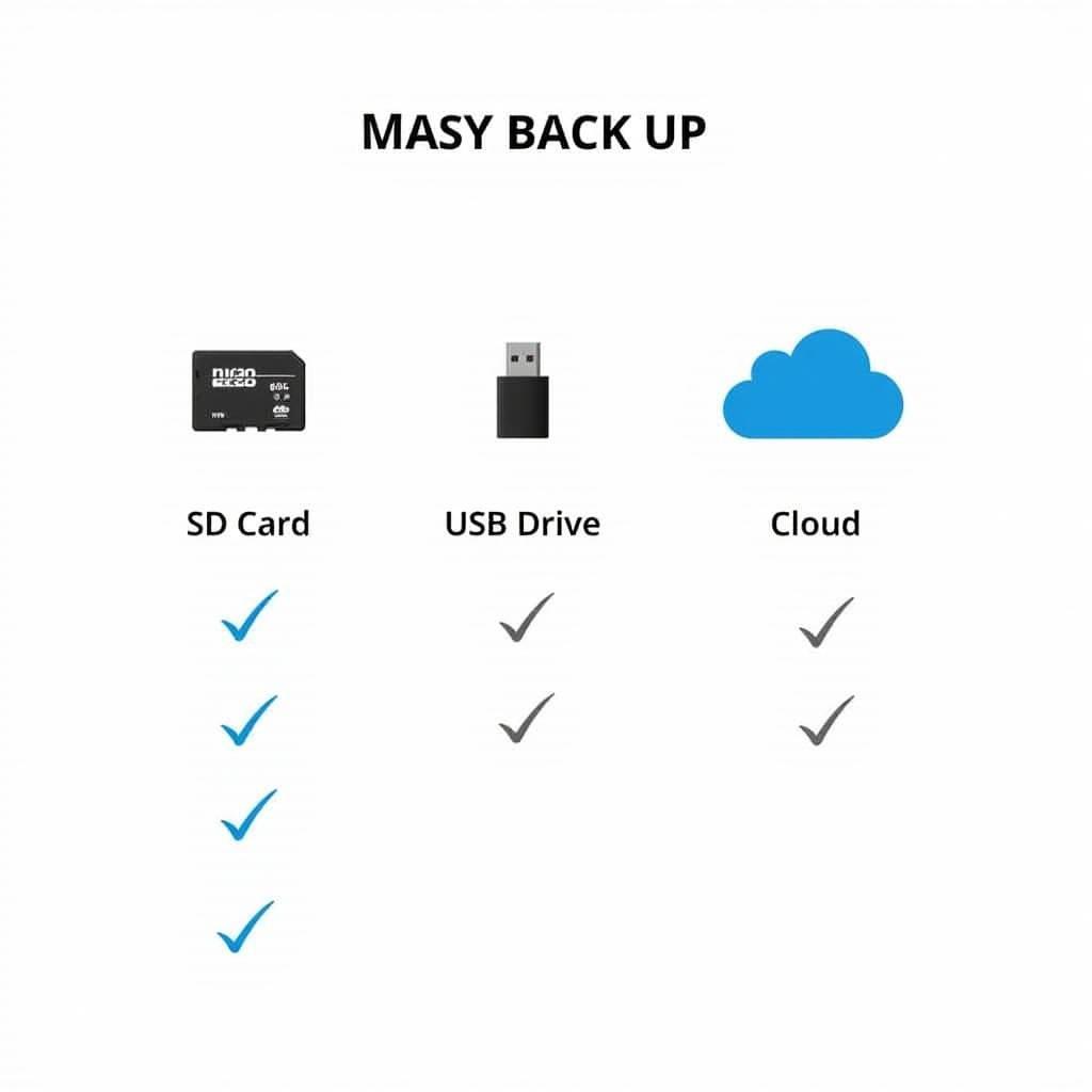 Autel Maxisys Pro Backup Storage Options