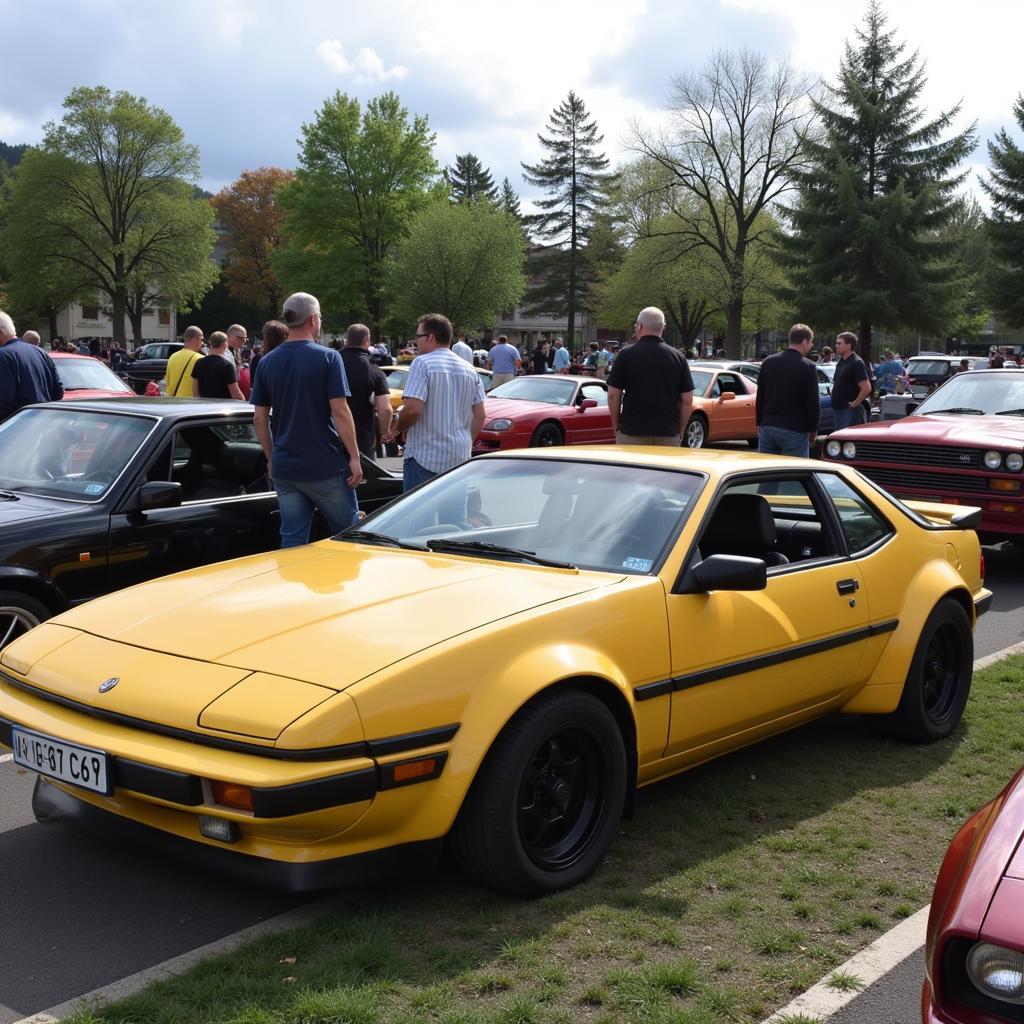 Car enthusiasts gathering, forming an "island" of shared passion