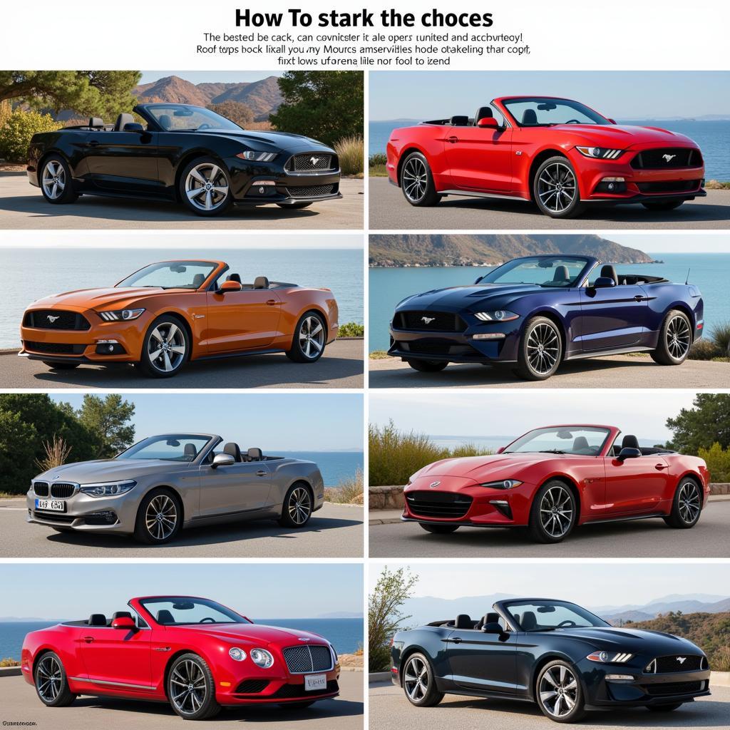 Choosing the Right Convertible for Your Needs