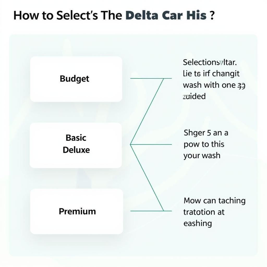 Choosing the Right Delta Car Wash for Your Needs