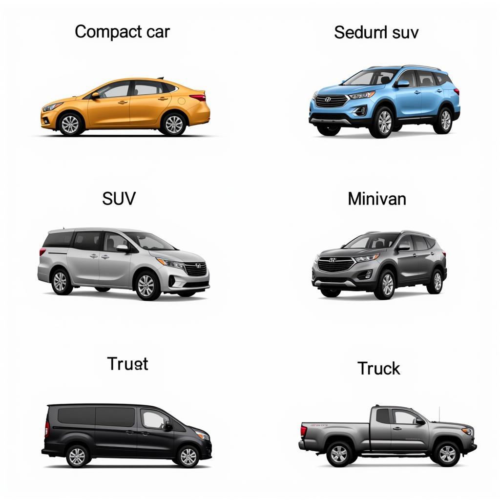 Various Car Types Available for Rent at IAH