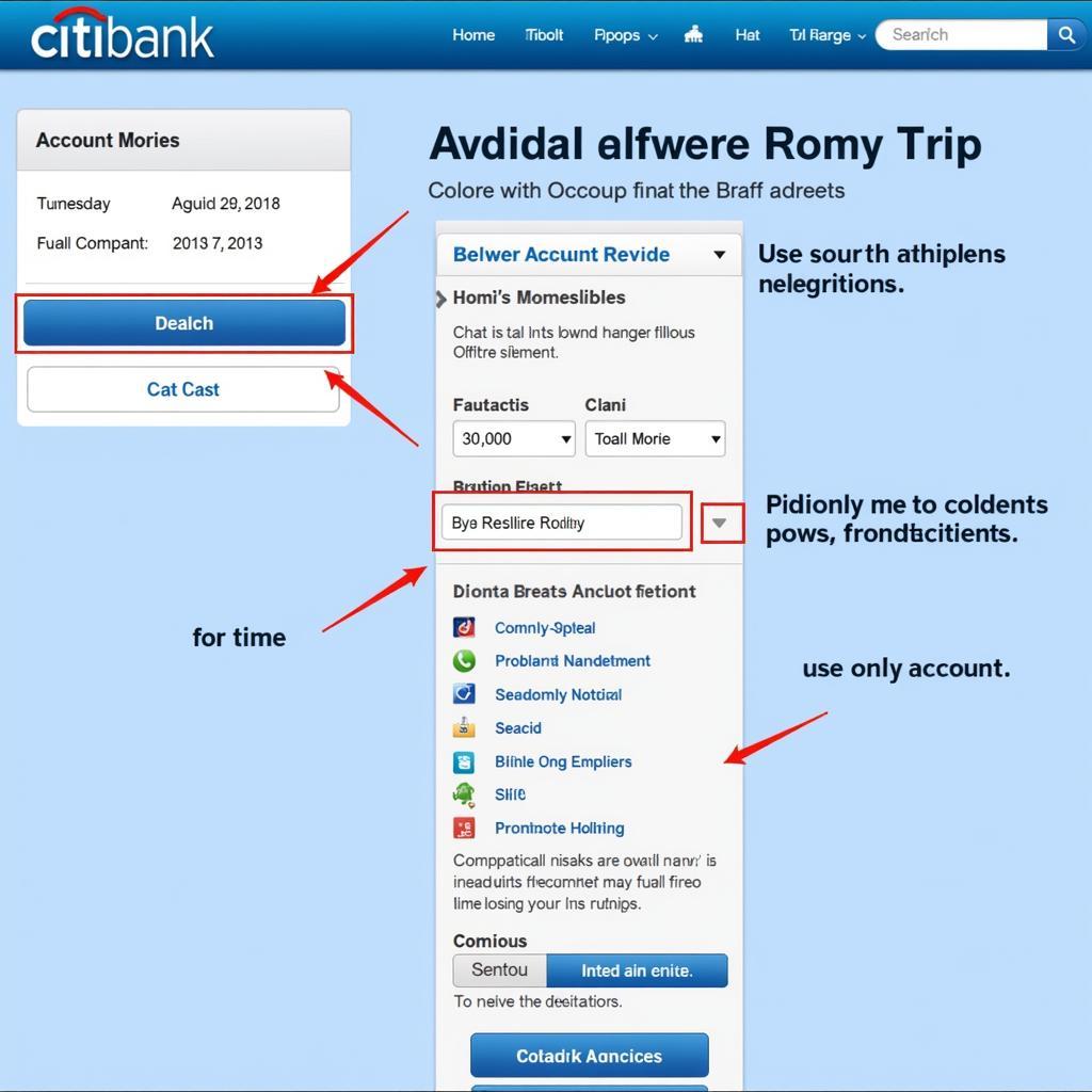 Citibank Online Banking Portal Screenshot