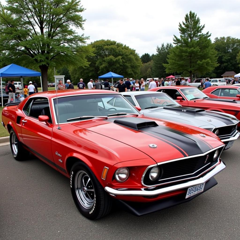 Classic American Muscle Cars on Display