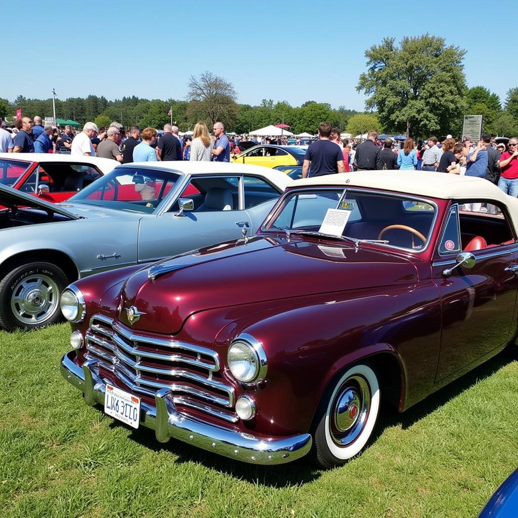 Classic Cars on Display at a Car Show