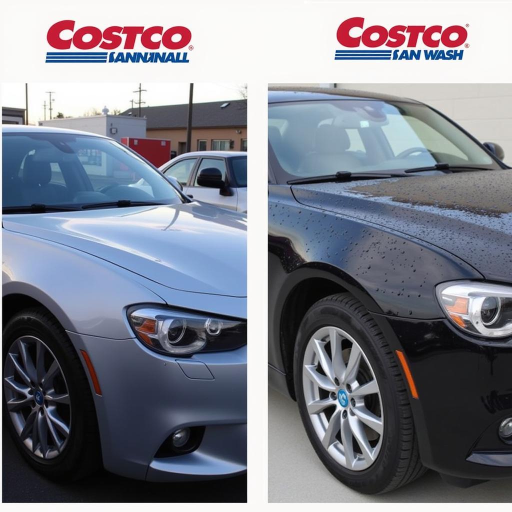 Costco Car Wash vs. Hand Wash