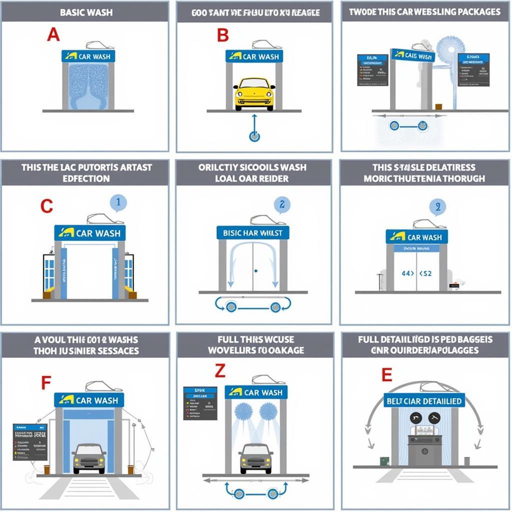 Drive-Through Car Wash Options