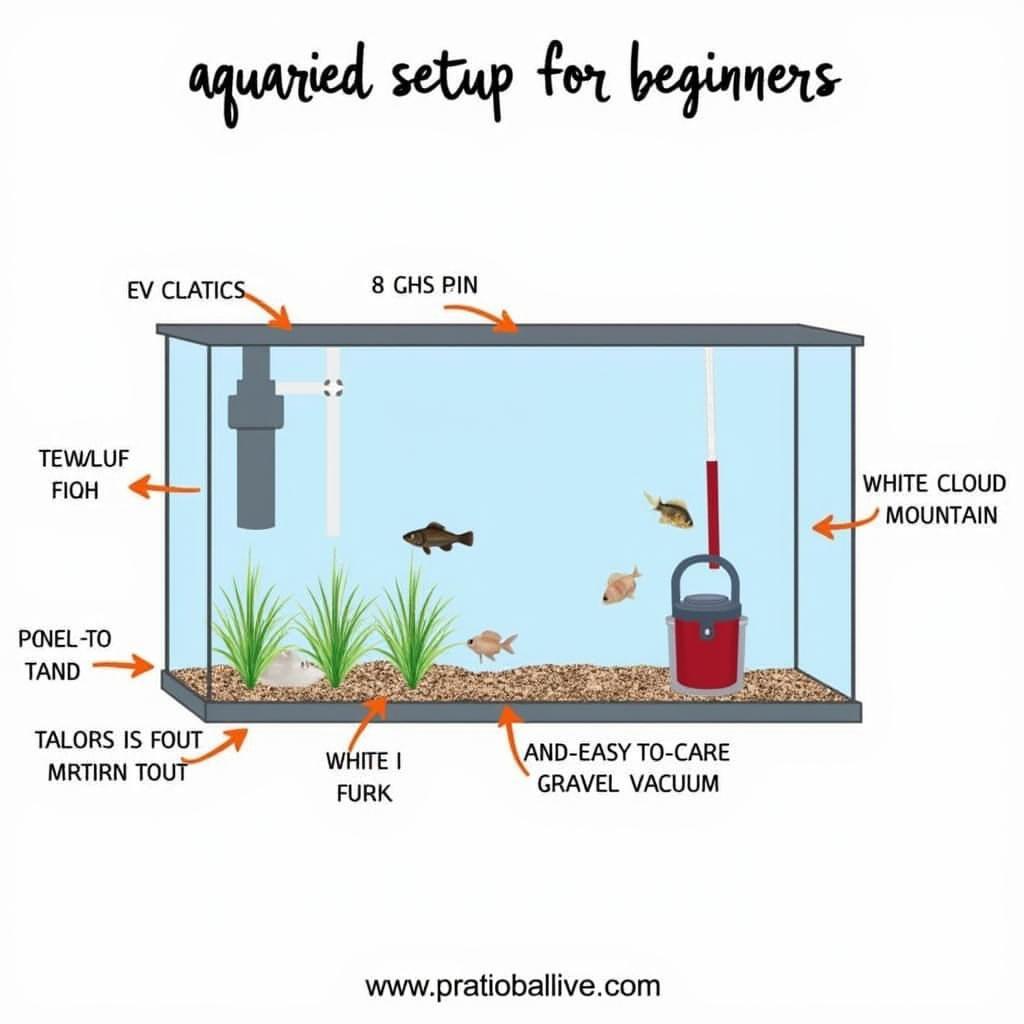 Easy Aquarium Setup for Beginners