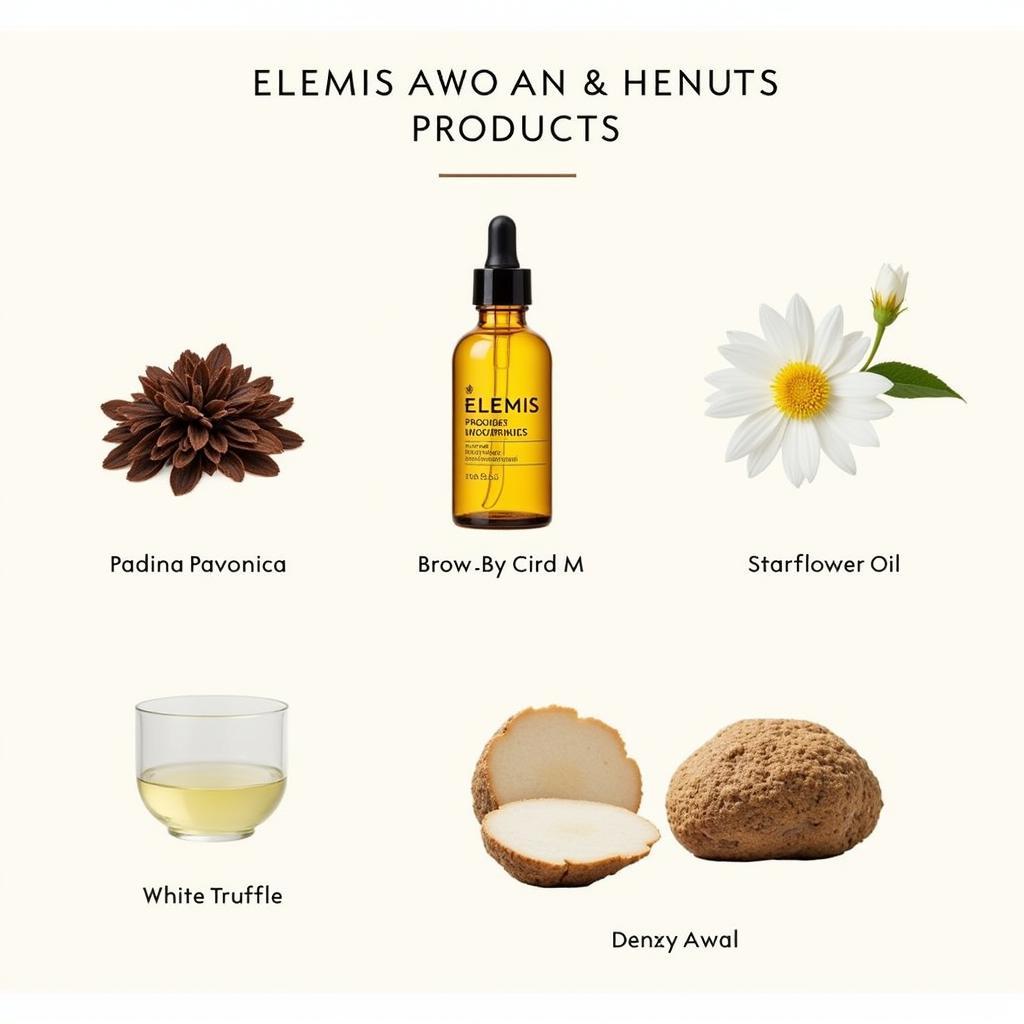 Elemis Key Ingredients: Padina Pavonica, Starflower Oil, and White Truffle