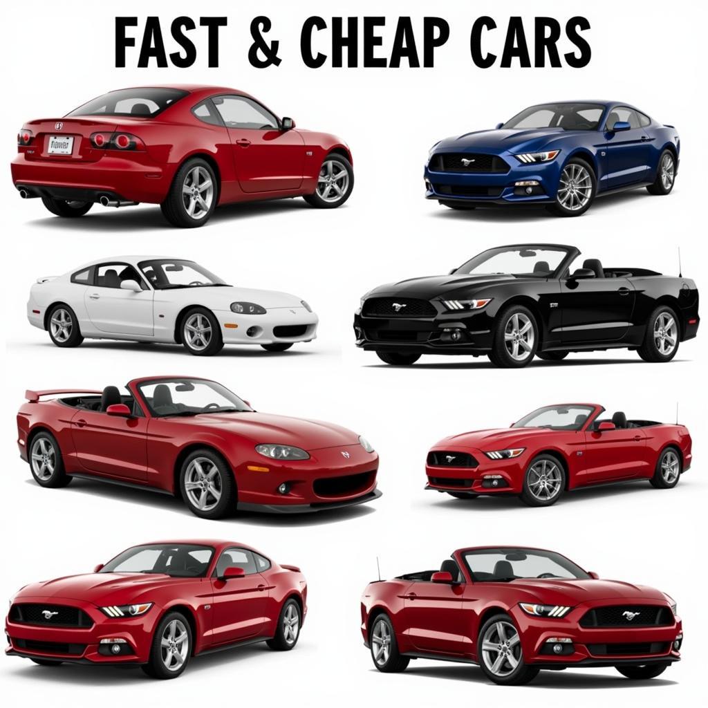 Fast and Cheap Car Options