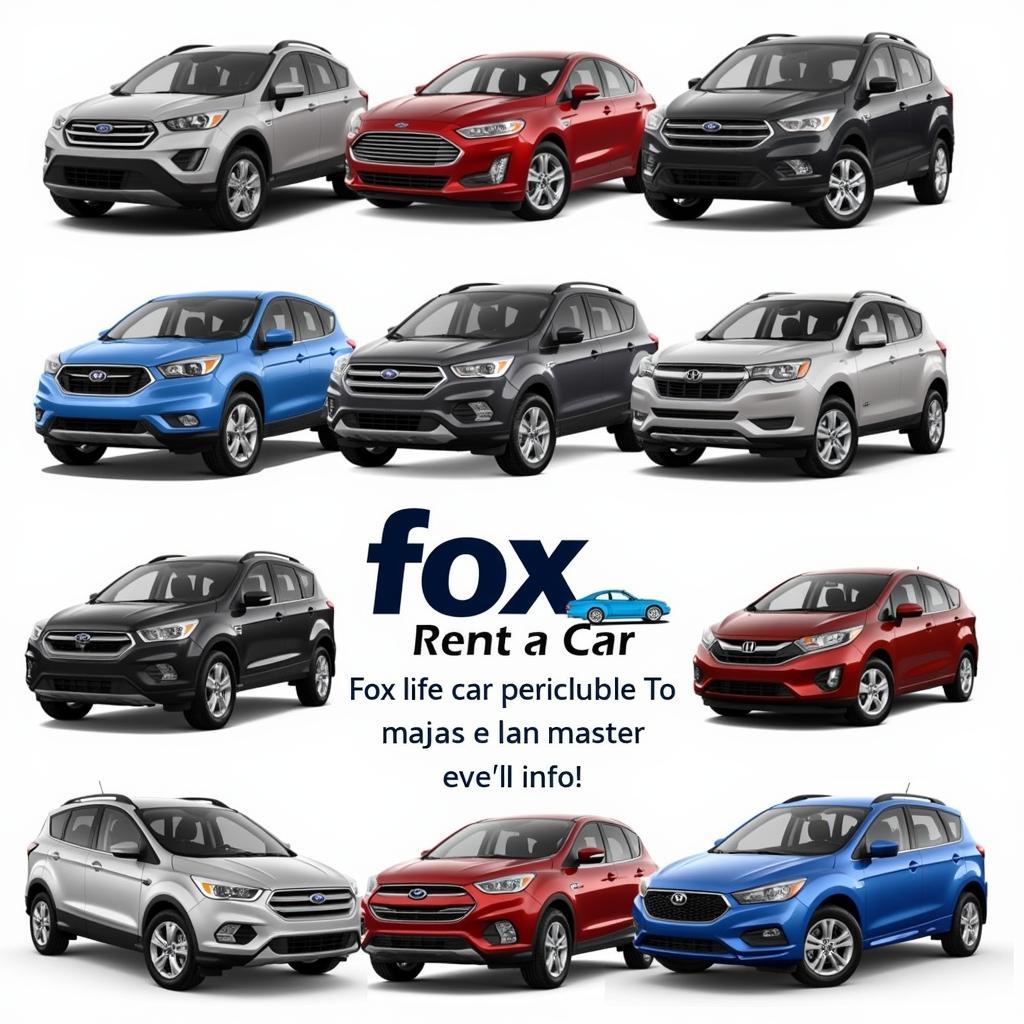 Fox Rent a Car Vehicle Fleet Options