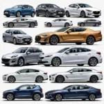 Hyundai Evolution Through the Years