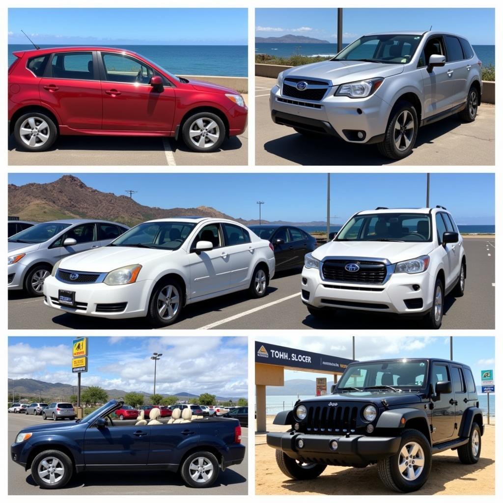 Kauai Airport Car Rental Options