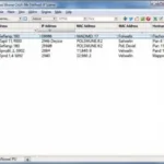 MAC Address Table in IP Scanner Software
