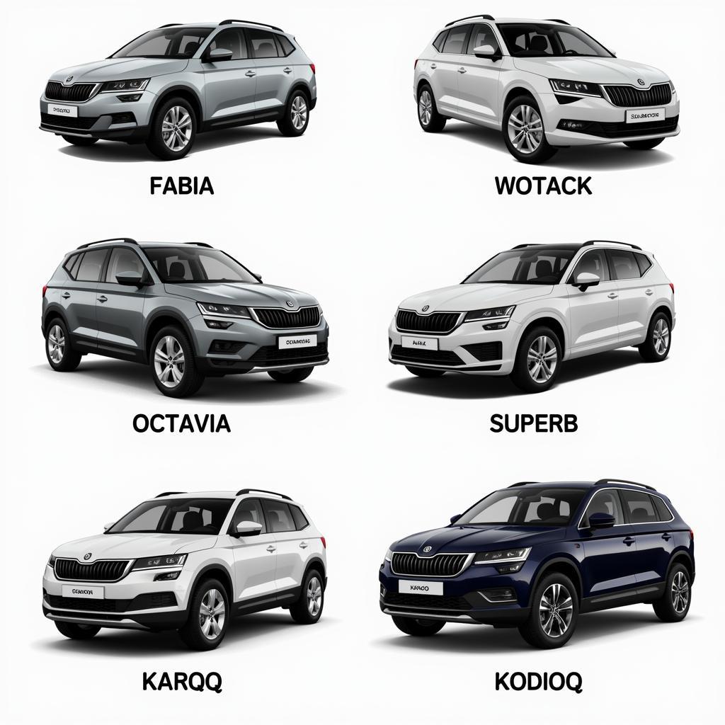 Skoda Model Lineup Overview