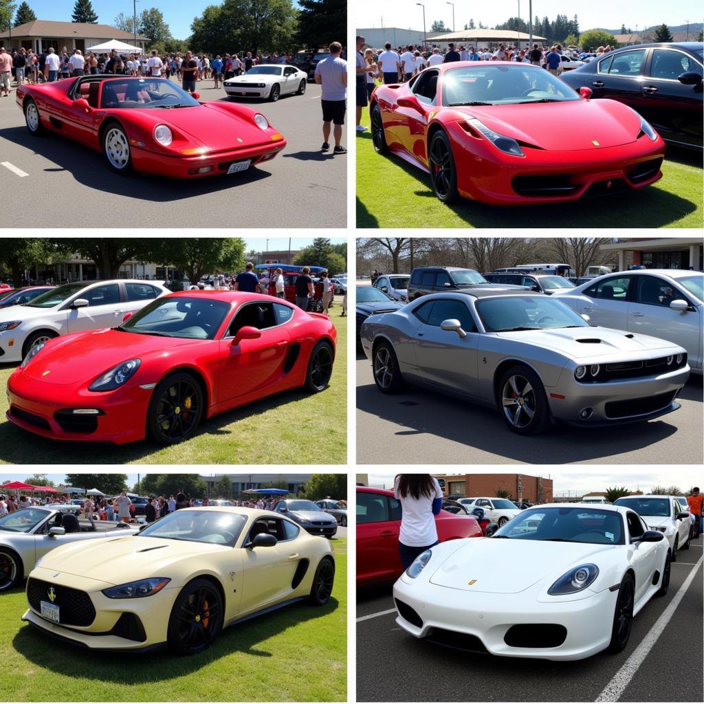 Different types of car meets showcasing a variety of vehicles