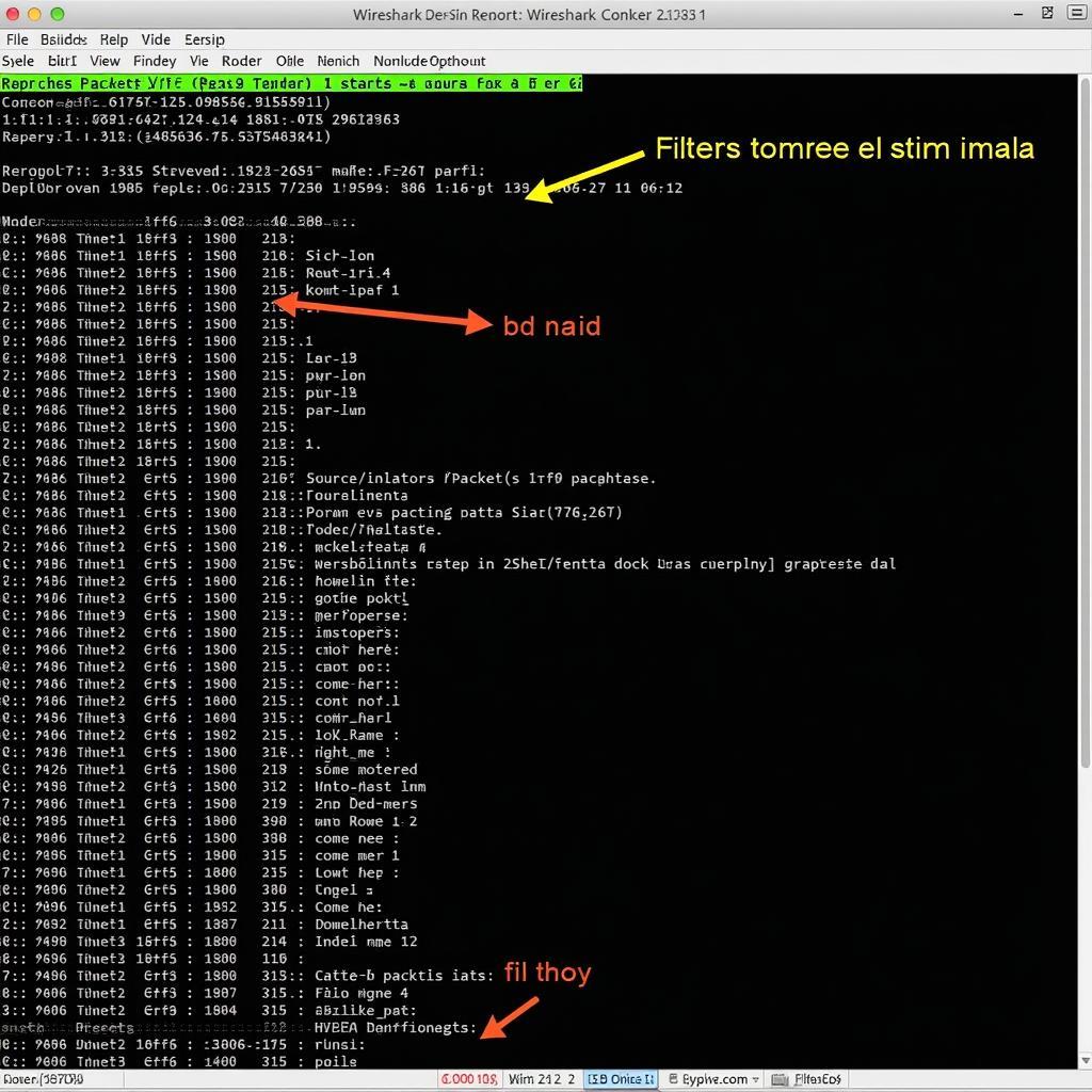 Wireshark Packet Capture Example